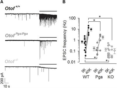 Disruption of Otoferlin Alters the Mode of Exocytosis at the Mouse Inner Hair Cell Ribbon Synapse